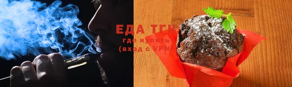 гидра Вяземский