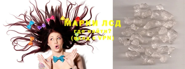 гидра Вяземский
