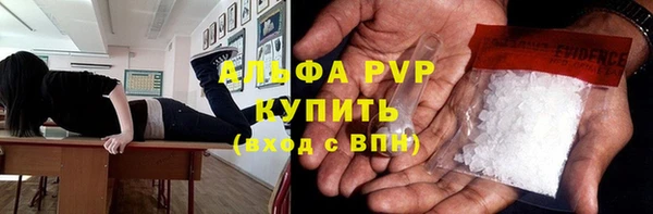 гидра Вяземский