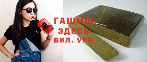гидра Вяземский