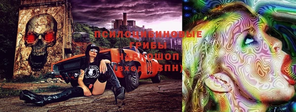 гидра Вяземский