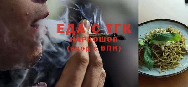 гидра Вяземский