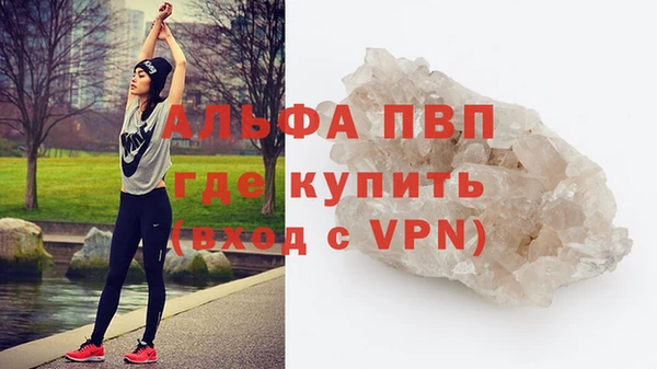 гидра Вяземский