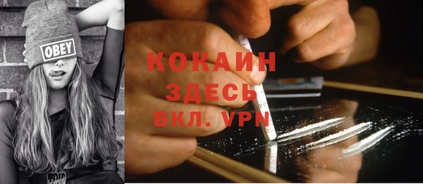 гидра Вяземский
