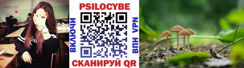 где купить наркотик Ухта дарк нет наркотические препараты Галлюциногенные грибы MAGIC MUSHROOMS