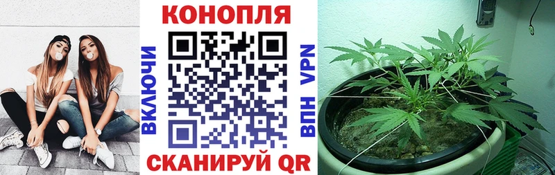 Марихуана конопля  Ухта 